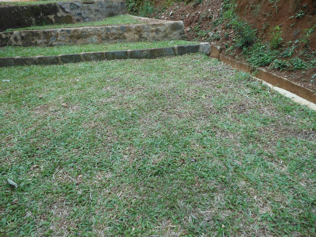 Lavender Hills Home Stay แคนดี้ ภายนอก รูปภาพ