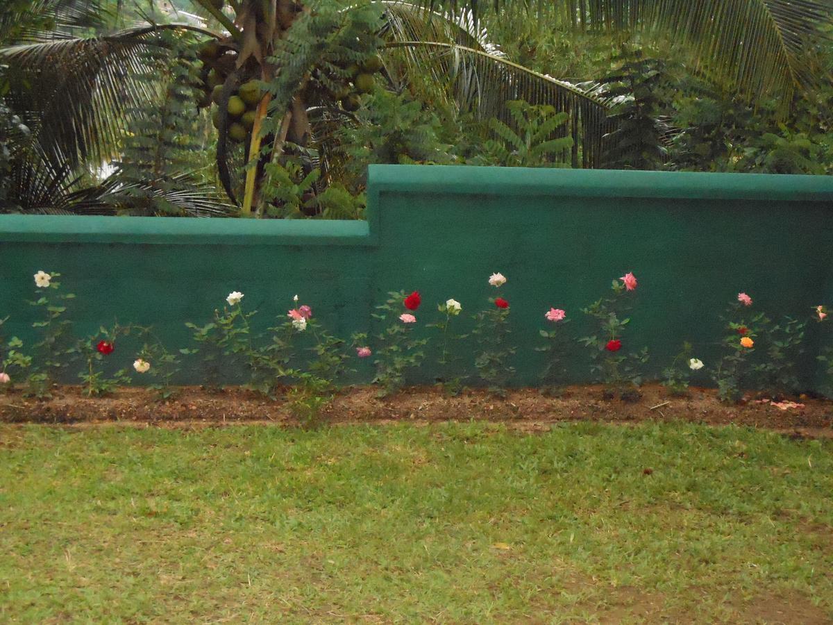 Lavender Hills Home Stay แคนดี้ ภายนอก รูปภาพ