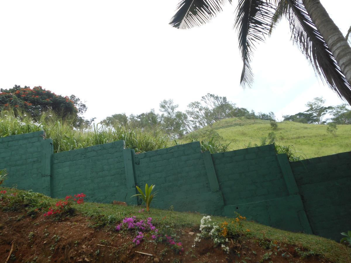Lavender Hills Home Stay แคนดี้ ภายนอก รูปภาพ